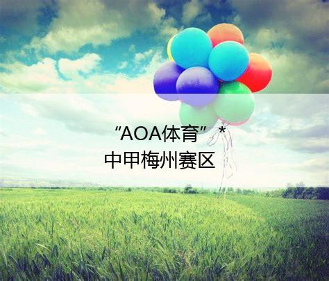 “AOA体育”*
中甲梅州赛区参赛队简介：贵州恒丰队